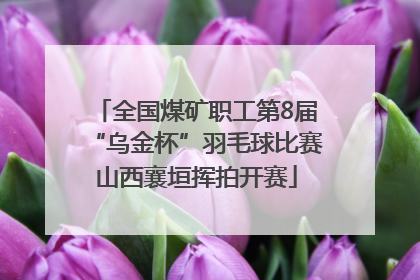 全国煤矿职工第8届“乌金杯”羽毛球比赛山西襄垣挥拍开赛