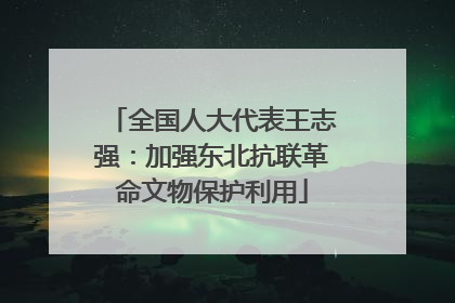 全国人大代表王志强：加强东北抗联革命文物保护利用