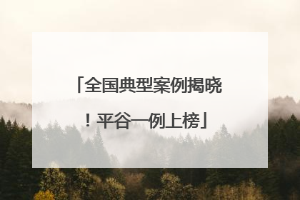 全国典型案例揭晓！平谷一例上榜
