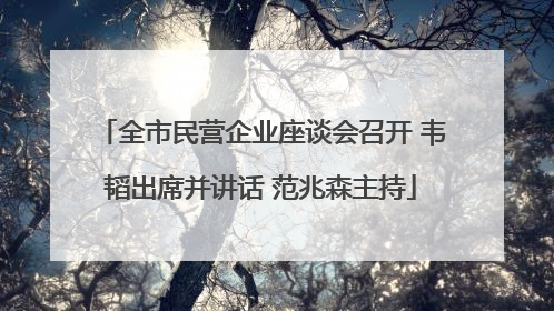 全市民营企业座谈会召开 韦韬出席并讲话 范兆森主持