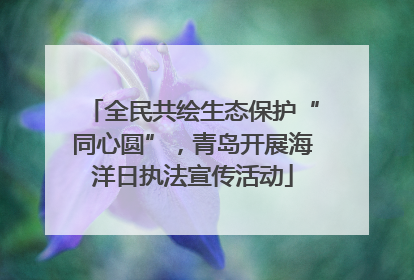全民共绘生态保护“同心圆”，青岛开展海洋日执法宣传活动