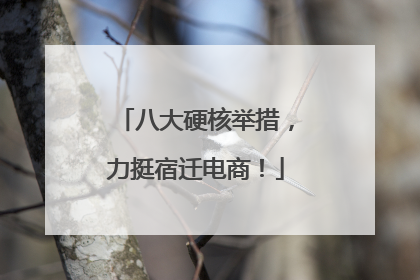 八大硬核举措，力挺宿迁电商！