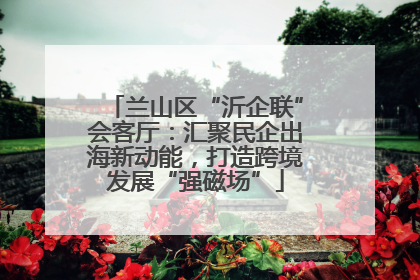 兰山区“沂企联”会客厅：汇聚民企出海新动能，打造跨境发展“强磁场”