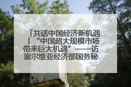 共话中国经济新机遇丨“中国超大规模市场带来巨大机遇”——访塞尔维亚经济部国务秘书尼科利奇
