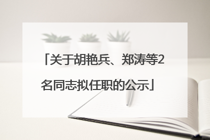 关于胡艳兵、郑涛等2名同志拟任职的公示
