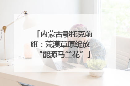内蒙古鄂托克前旗：荒漠草原绽放“能源马兰花”