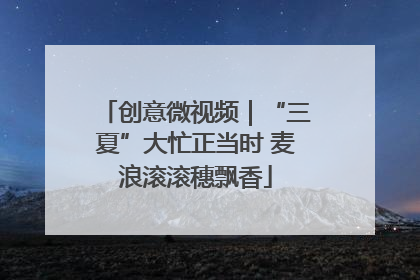创意微视频｜“三夏”大忙正当时 麦浪滚滚穗飘香