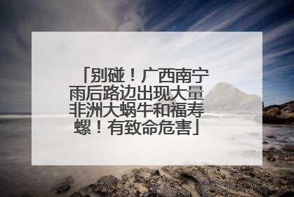 别碰！广西南宁雨后路边出现大量非洲大蜗牛和福寿螺！有致命危害