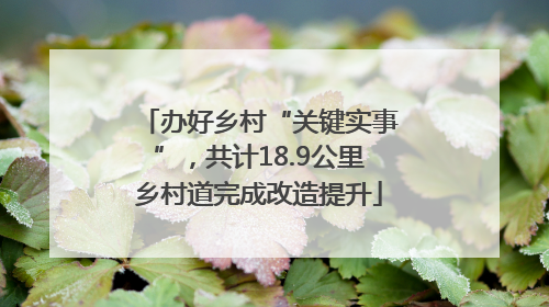 办好乡村“关键实事”，共计18.9公里乡村道完成改造提升