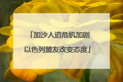 加沙人道危机加剧 以色列盟友改变态度