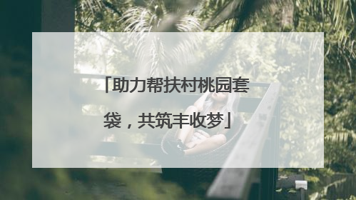 助力帮扶村桃园套袋，共筑丰收梦