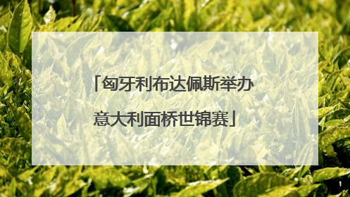匈牙利布达佩斯举办意大利面桥世锦赛