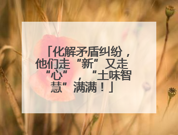 化解矛盾纠纷，他们走“新”又走“心”，“土味智慧”满满！