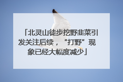 北灵山徒步挖野韭菜引发关注后续，“打野”现象已经大幅度减少