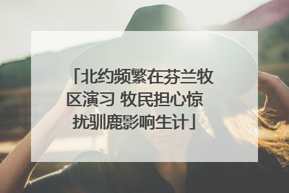 北约频繁在芬兰牧区演习 牧民担心惊扰驯鹿影响生计