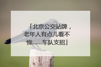 北京公交站牌，老年人有点儿看不懂……车队支招