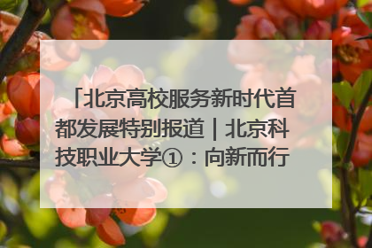 北京高校服务新时代首都发展特别报道｜北京科技职业大学①：向新而行，为首都低空经济发展提供“即战力”
