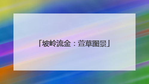坡岭流金：萱草图景