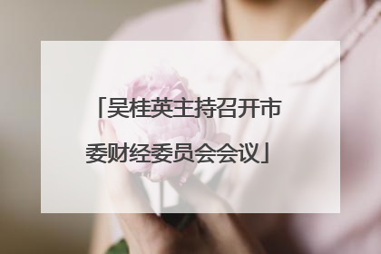 吴桂英主持召开市委财经委员会会议