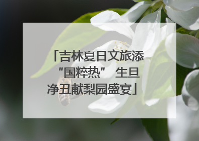 吉林夏日文旅添“国粹热” 生旦净丑献梨园盛宴