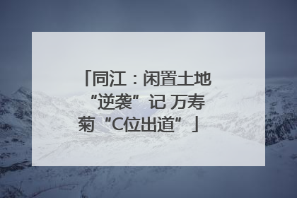 同江：闲置土地“逆袭”记 万寿菊“C位出道”