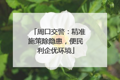 周口交警：精准施策除隐患，便民利企优环境