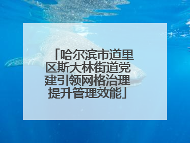 哈尔滨市道里区斯大林街道党建引领网格治理提升管理效能