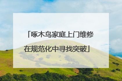 啄木鸟家庭上门维修在规范化中寻找突破