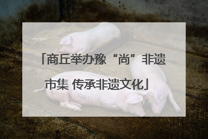 商丘举办豫“尚”非遗市集 传承非遗文化