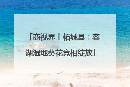 商视界丨柘城县：容湖湿地葵花竞相绽放