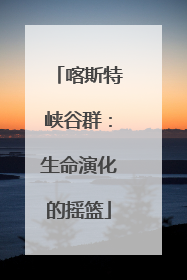 喀斯特峡谷群：生命演化的摇篮