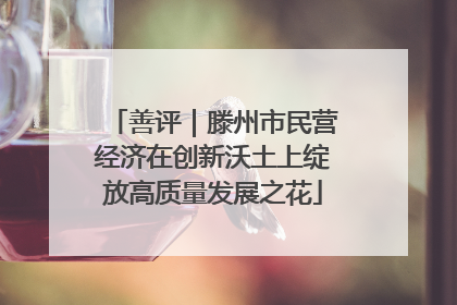 善评｜滕州市民营经济在创新沃土上绽放高质量发展之花