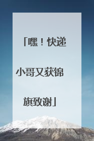 嘿！快递小哥又获锦旗致谢
