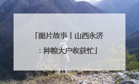 图片故事丨山西永济：种粮大户收获忙
