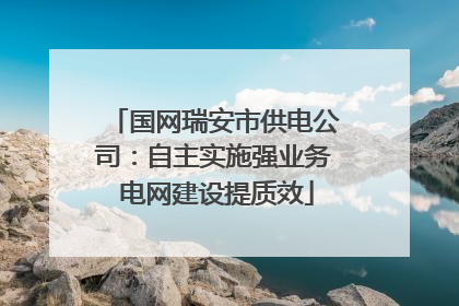 国网瑞安市供电公司：自主实施强业务 电网建设提质效