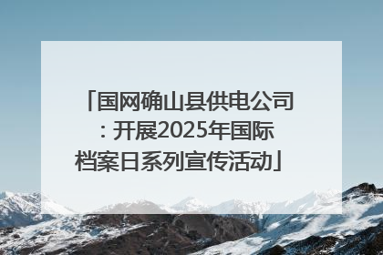 国网确山县供电公司：开展2025年国际档案日系列宣传活动