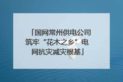 国网常州供电公司筑牢“花木之乡”电网抗灾减灾根基