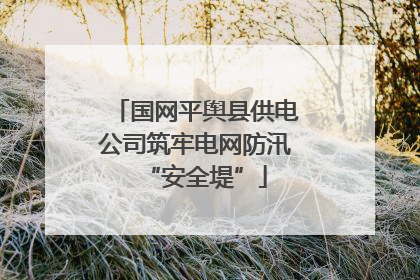 国网平舆县供电公司筑牢电网防汛“安全堤”
