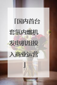 国内首台套氢内燃机发电机组投入商业运营