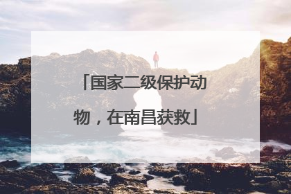 国家二级保护动物，在南昌获救
