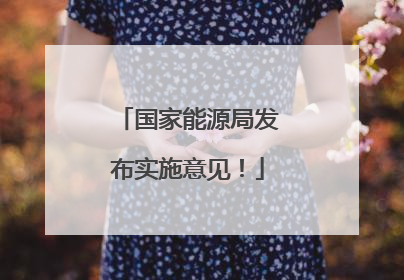 国家能源局发布实施意见！