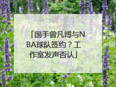 国手曾凡博与NBA球队签约？工作室发声否认