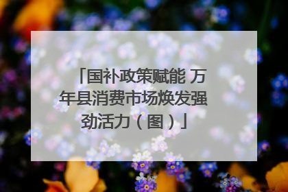 国补政策赋能 万年县消费市场焕发强劲活力（图）