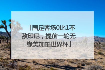 国足客场0比1不敌印尼，提前一轮无缘美加墨世界杯