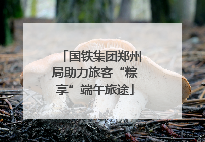 国铁集团郑州局助力旅客“粽享”端午旅途