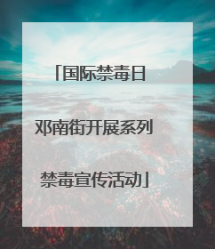 国际禁毒日 邓南街开展系列禁毒宣传活动
