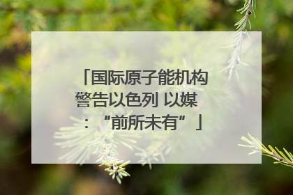 国际原子能机构警告以色列 以媒：“前所未有”