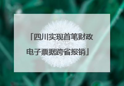 四川实现首笔财政电子票据跨省报销