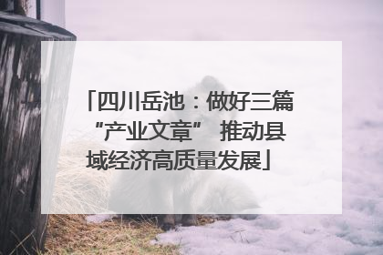 四川岳池：做好三篇“产业文章” 推动县域经济高质量发展