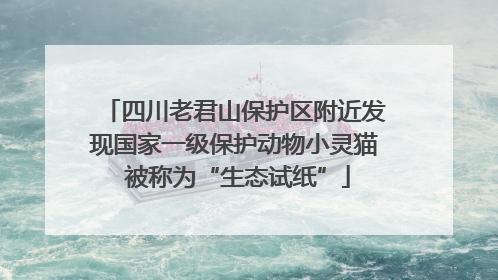 四川老君山保护区附近发现国家一级保护动物小灵猫 被称为“生态试纸”